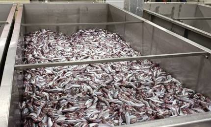 e1e35e66d064167ea36dd3a22041c1fc28660bb9.jpeg e1e35e66d064167ea36dd3a22041c1fc28660bb9.jpeg