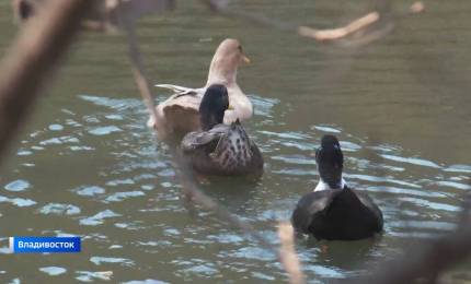 713216d5d3cad444e0eb2db4419d8146c2d04d46.jpeg 713216d5d3cad444e0eb2db4419d8146c2d04d46.jpeg